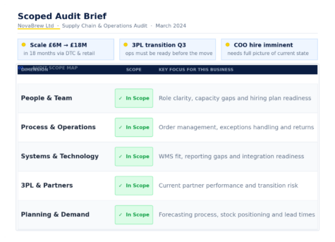 Image 1 Supply Chain and Ops Audit