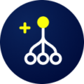 Icon root cause